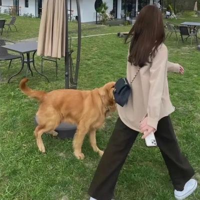 危险的恋情